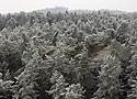 Bory na skalch - hlavn odkaz