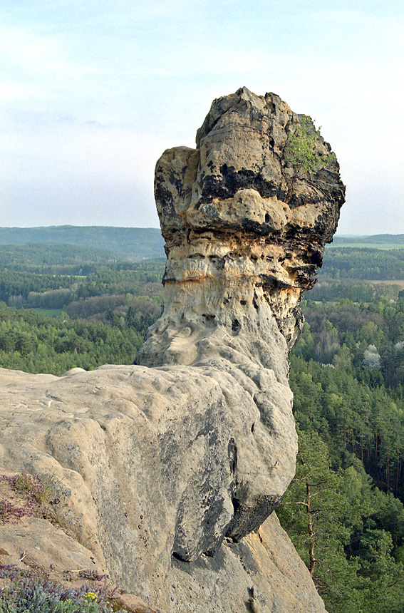 Vika - vt formt