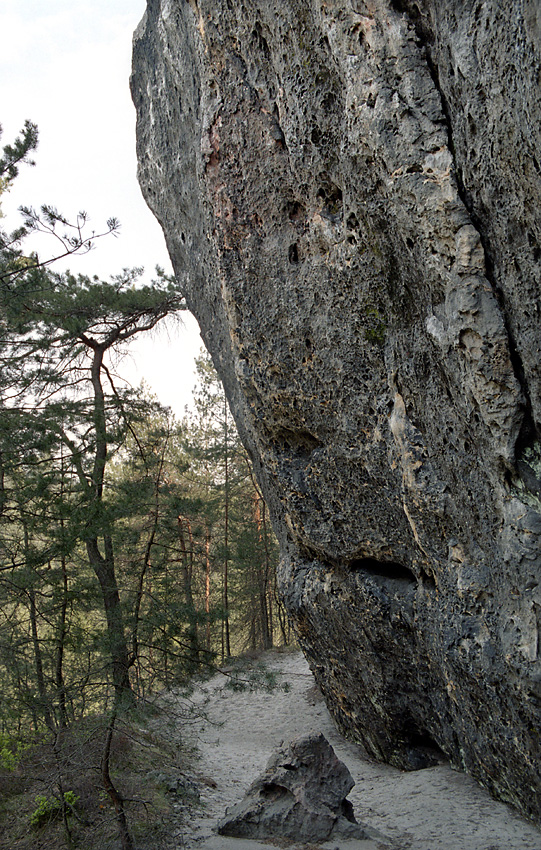 Ve skalch - vt formt