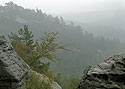 Rno - hlavn odkaz