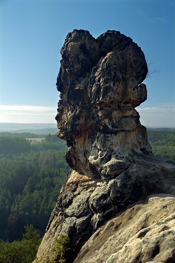 Vika - vt formt