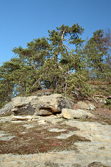Na okrajovkch - men formt