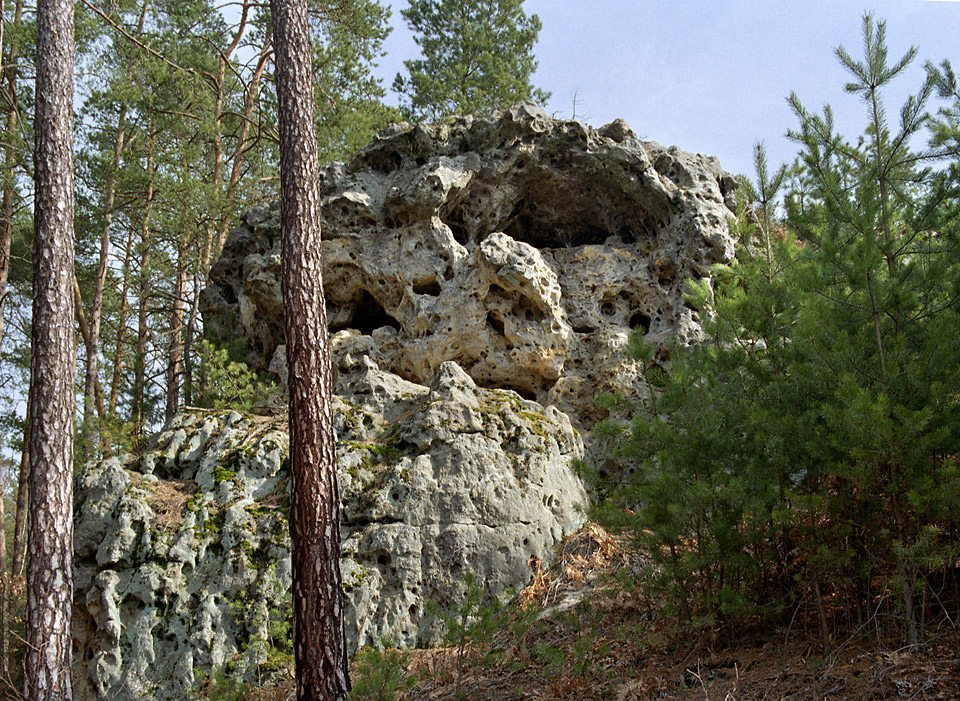 Ve skalch - vt formt