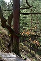 Objet - hlavn odkaz